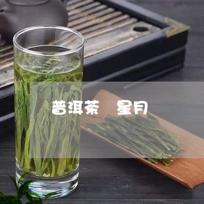 普洱茶 星月/2023042842315